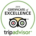 Trip Advisor Logo